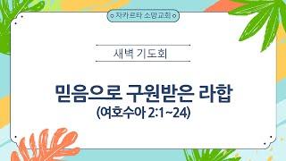 믿음으로 구원받은 라합(여호수아2:1~24) - 경건의 시간, 매일 성경, 큐티, 자카르타 소망