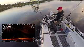 Big zander stor gös med Garmin Livescope