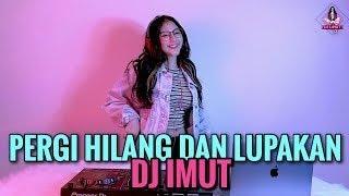 PERGI HILANG DAN LUPAKAN DJ IMUT REMIX REMEMBER OF TODAY