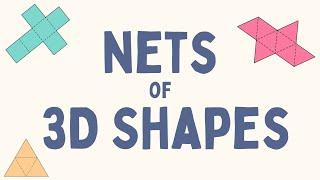Nets of 3D Shapes