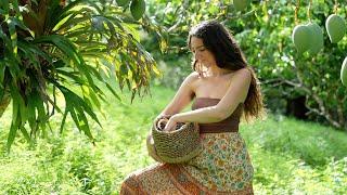 A Huge Mango Harvest: Summer Days of Cooking in the Rainforest