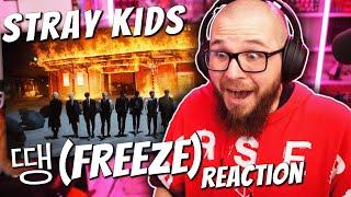 FIRST TIME Reacting to STRAY KIDS 땡(FREEZE)