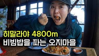 기막힌 풍경의 히말라야, 4800m의 비빔밥은 어떤 맛일까 - 네팔(6)