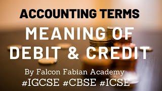 MEANING OF DEBIT AND CREDIT IN ACCOUNTING | Accounting Terms | Lesson 6 | Falcon Fabian Academy