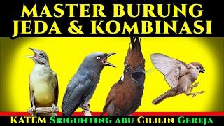 MASTER Jeda dan Kombinasi | KATEM Srigunting abu Cililin Gereja