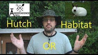 Cuniculture #3:  Hutch or Habitat, Housing Your Meat Rabbits