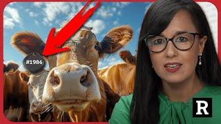 Hang on! Now Biden wants TRACK all cows because of BIRD FLU!?! | Redacted w Natali & Clayton Morris
