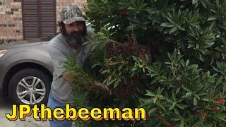 Bee Removal Specialist "JPthebeeman"