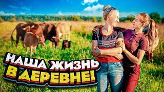 Наша ферма с высоты птичьего полёта! Релакс для ваших глаз! | Молодая Ферма