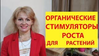 Лучшие стимуляторы роста для семян . Какие лучшие биостимуляторы для растений