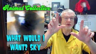 Perfect, Beautiful | Animal Collective - What would I want? Sky | NearlySeniorCitizen Reacts #177