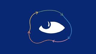 How Does the Brain Control Eye Movements?