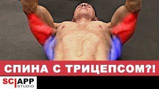 Самый Лучший Сплит — Как Группировать Мышцы | Джефф Кавальер