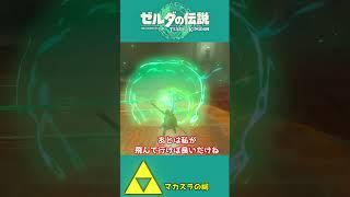 【ティアキン】安いもんだ武器の三本くらい？どうせ使わないなら利用させてもらうわ！！【祠攻略】＃Shorts