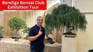 Bonsai Exhibition Tour - Bendigo Bonsai Club Show Victoria Australia