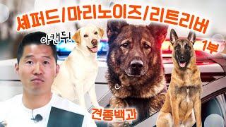 셰퍼드, 마리노이즈, 래브라도 리트리버(군견 편) 1부｜강형욱의 견종백과