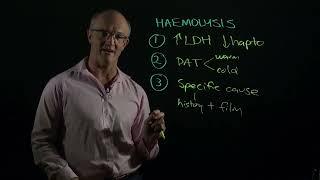 Haemolytic anaemia made easy: a 3 step guide #haematology #medicaleducation