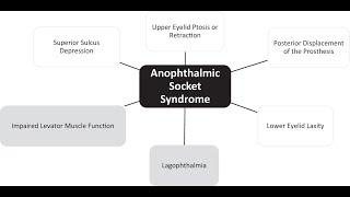 THE ANOPHTHALMIC SOCKET #kanskiseries #2022bye #2023