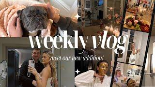 Meet our NEW DOG & a weekly vlog!!! | Georgia May