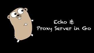 Echo Server, and Proxying with Go