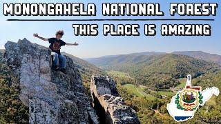 Exploring the BEST National Forest in the Eastern U.S. | Seneca Rocks, Dolly Sods & More (2024)