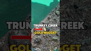 WHO KNEW!? Discovering GOLD NUGGETS under a blackberry bush in Australia #goldrush #sluice