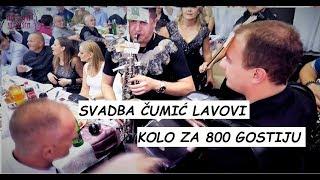 KOLO ZA 800 GOSTIJU (Cumic) / Ork. Lavovi / Laza / Milan Strasni