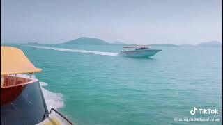 Speedboat Phuket ️+66648198081 #phuketseahorsemarine #เรือสปีดโบ๊ทภูเก็ต #speedboat #rentspeedboat