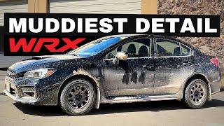 Deep Cleaning The Muddiest WRX EVER! | Satisfying DISASTER Detail Transformation! (ASMR)