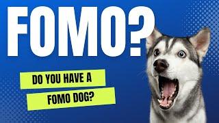 Does Your Dog Have FOMO?