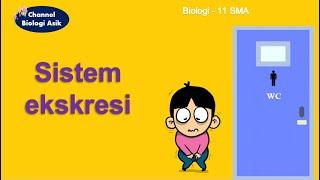 Sistem ekskresi - Biologi kelas 11 SMA