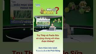 APN - TRỤ THÉP CẢI TIẾN VÀ FARM PACLO CÓ GIỐNG NHAU KHÔNG?