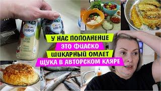 У нас ПОПОЛНЕНИЕ /  Это ФИАСКО / Новые ИГРУШКИ / Шикарный ОМЛЕТ от Гусарихи / Щука в АВТОРСКОМ КЛЯРЕ