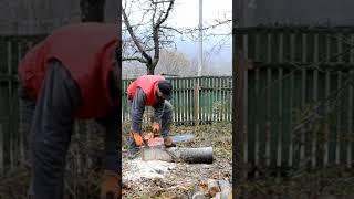 Старая китайская бензопила все еще работает и заводится с полуоборота #stihl #chainsaw