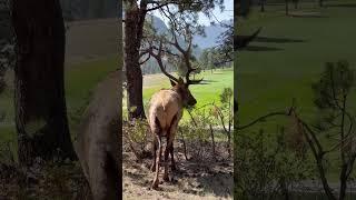 Golf course superintendent was looking a little sleepy!