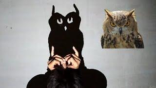 hand shadow animals III how to make cow  goat owl Swan and Squid shadow