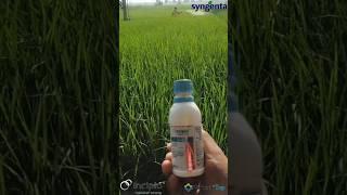 SYNGENTA INCIPIO+REFLECT TOP SPREY #syngenta #agriculture #viralshorts  #shorts