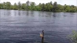 Where the Suncook River meets the Merrimack River in New Hampshire