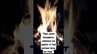 #shorts  #fire #quotes