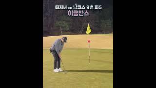 조금 민망한 이글했습니다... #이일프로 #golfer #golflesson