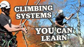 6 Different Tree Climbing Systems Demonstrated - 2024