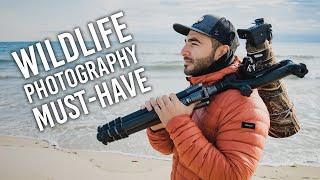 Gimbal Heads: A Wildlife Photography MUST-HAVE (And How to Use It)