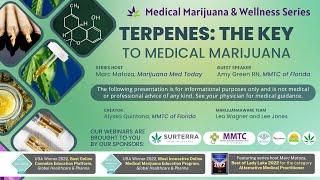 Terpenes: The Key to Medical Marijuana - May 3rd, 2023