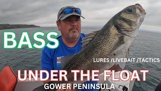 BASS UNDER THE FLOAT UK BOAT FISHING CATCH AND RELEASE ABOARD TOADFISH