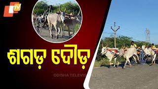 Bullock Cart Race Held in Puthur Pandiya Puram Village, Tamil Nadu