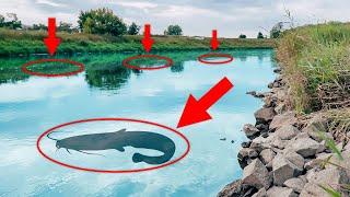 WALLER an der Steinpackung | Am kleinen FLUSS in Deutschland