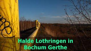 Halde Lothringen in Bochum Gerthe