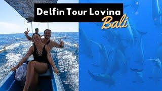 Unfassbare Delfin Tour mit hunderten Delfinen in Lovina I Kosten, Unterkunft, Tipps