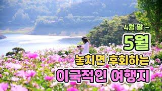 Korea's Beautiful May Travel Destination