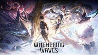 WISH HISTORY HOW TO CHECK WUTHERING WAVES